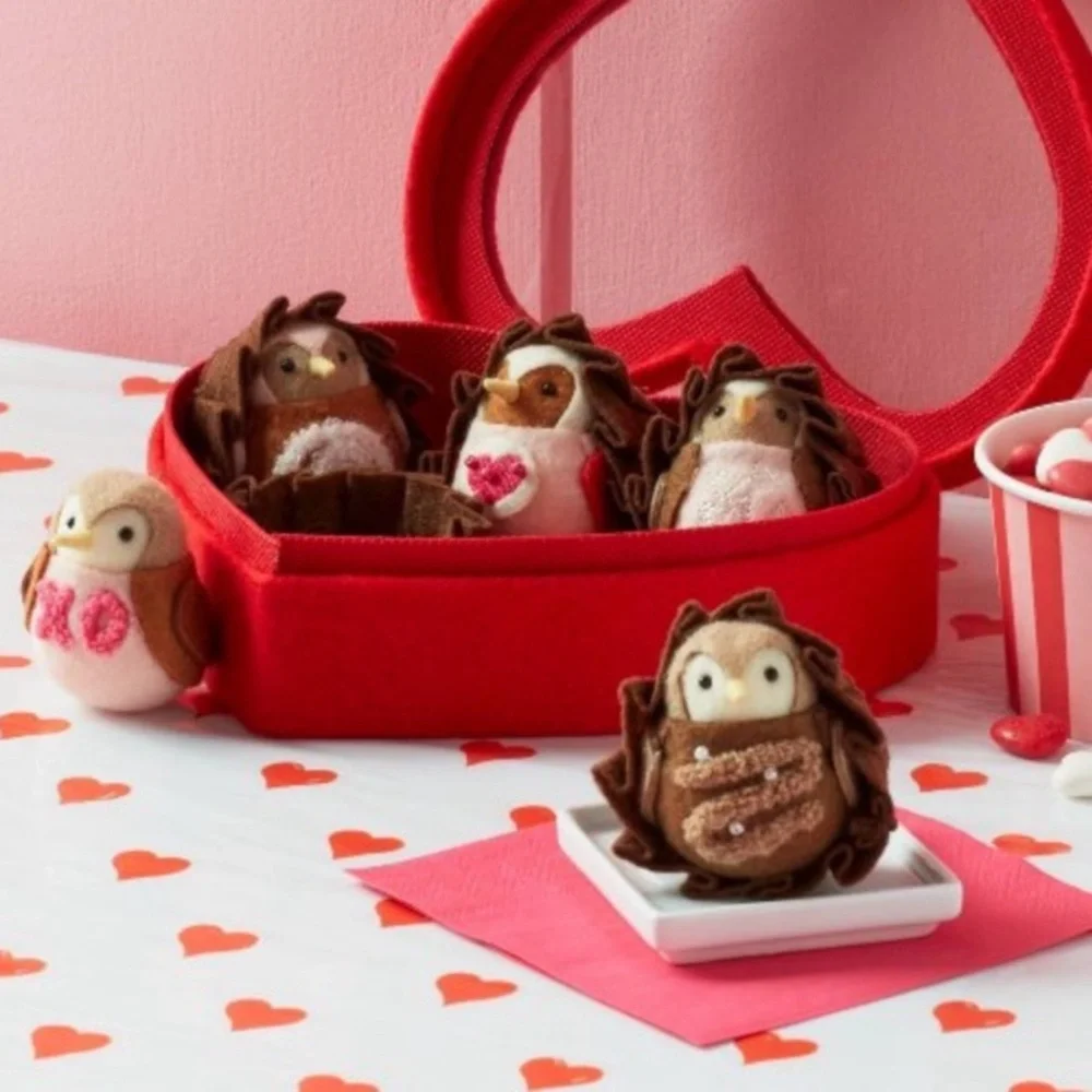 NEW Target Featherly Friends Chocolate Box Valentine's Day